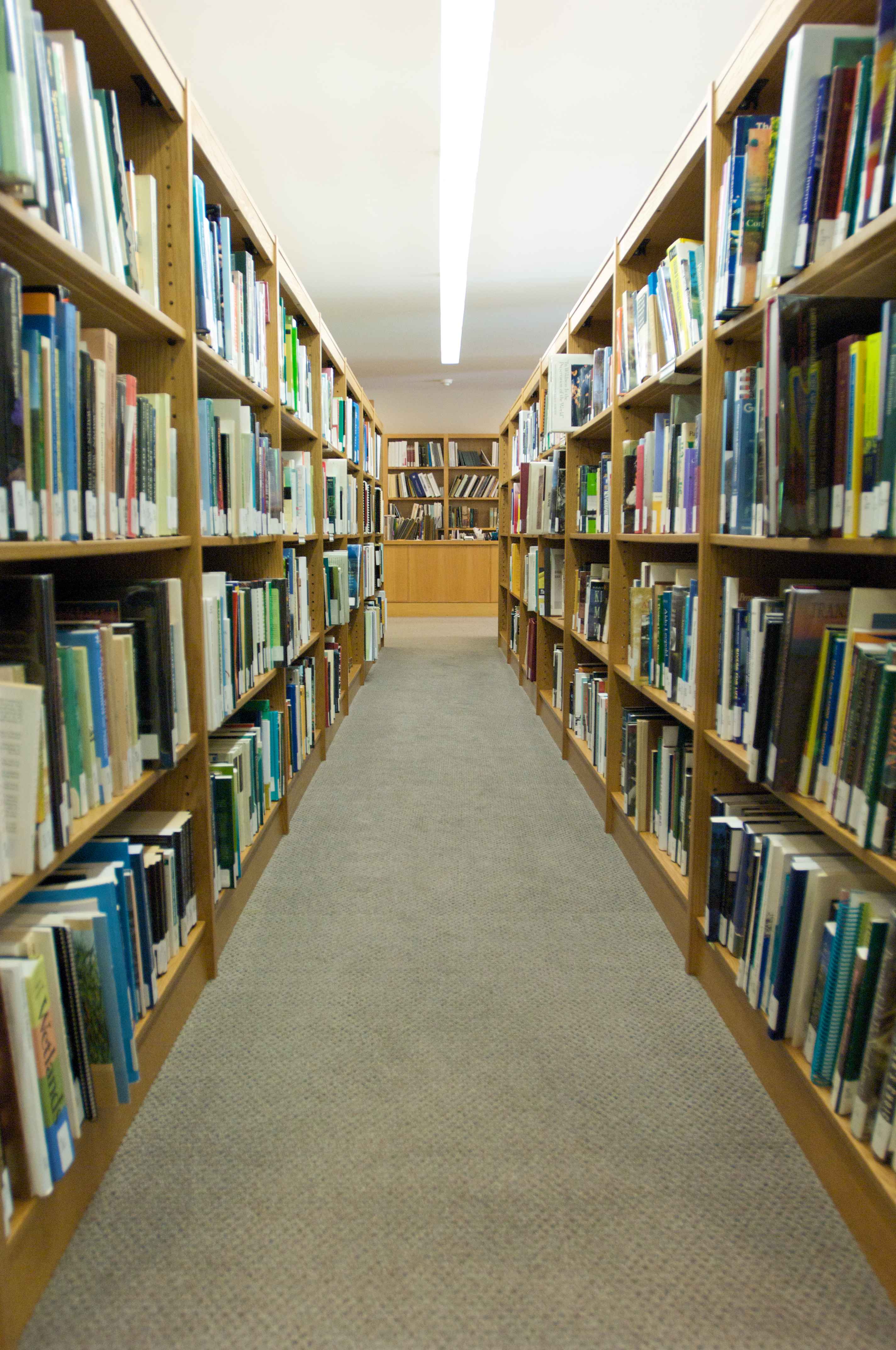 Light-filled library shelves with rows of books